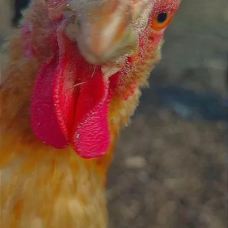 Altes Waschhaus شقة